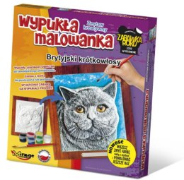 Wypukła malowanka - kot brytyjski krótkowłosy