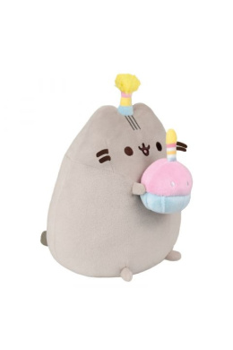 Pusheen Birthday Party 24 cm