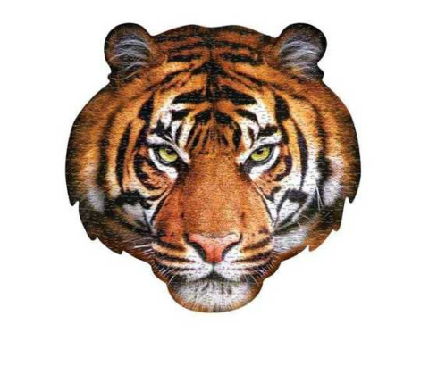 Puzzle konturowe 550 I am - Tygrys Puzzle konturowe 550 I am - Tygrys