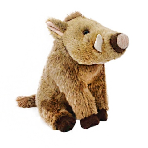 Dzik euroazjatycki 23cm