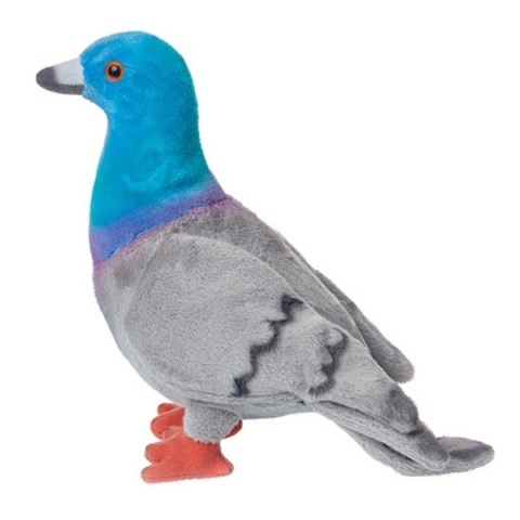 Gołąb miejski 20 cm