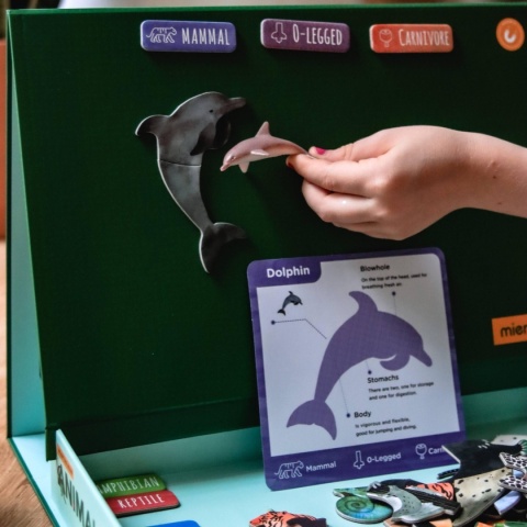 Puzzle magnetyczne - Wszystko o zwierzętach