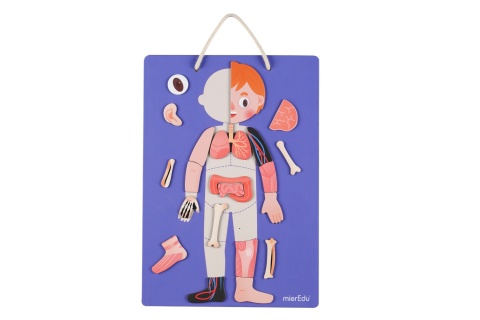 Puzzle magnetyczne - Wszystko o ciele i emocjach