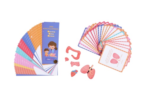 Puzzle magnetyczne - Wszystko o ciele i emocjach