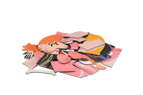 Puzzle magnetyczne - Wszystko o ciele i emocjach